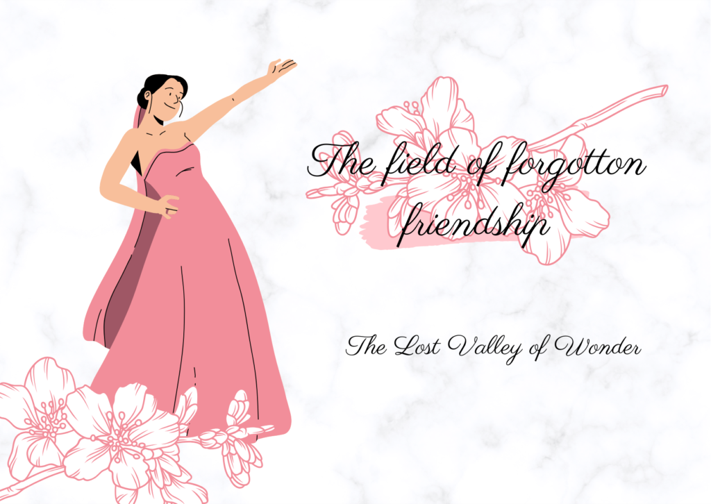The Field of Forgotten Friendships