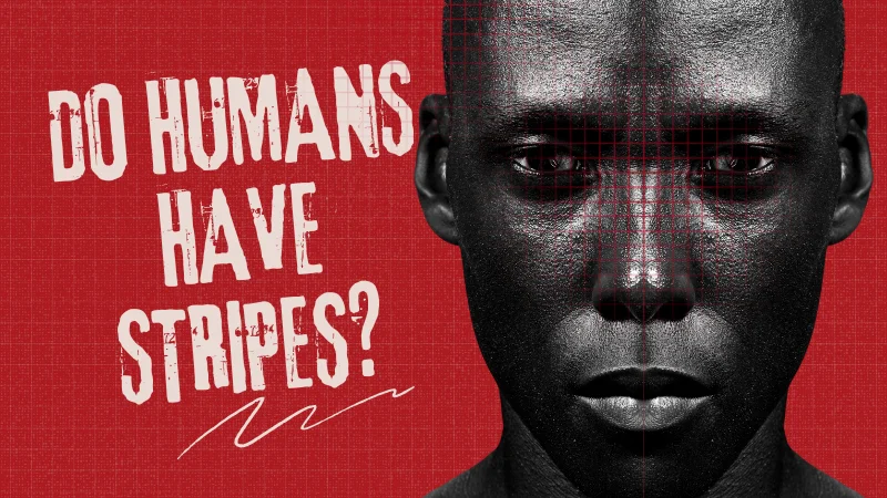 Do Humans Have Stripes (1)