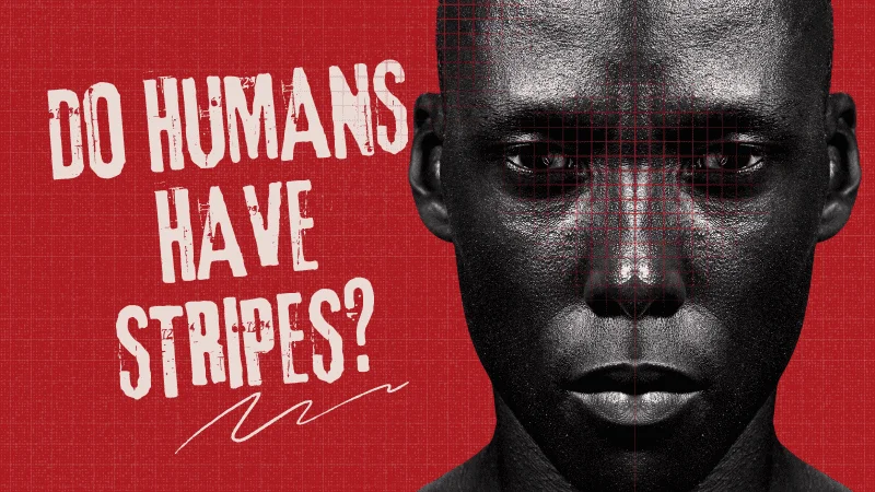 Do Humans Have Stripes (1)